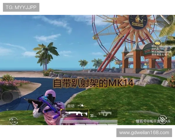 和平精英深度解析：BLG战队的控制策略与战术运用探讨