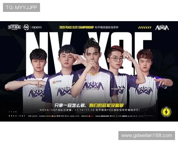 和平精英竞技分析：深入探讨RNG战队的实力与战术优势