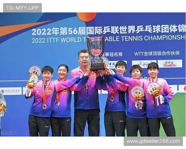 广州乒乓球队团队协作引发热议争议背后的默契与挑战分析