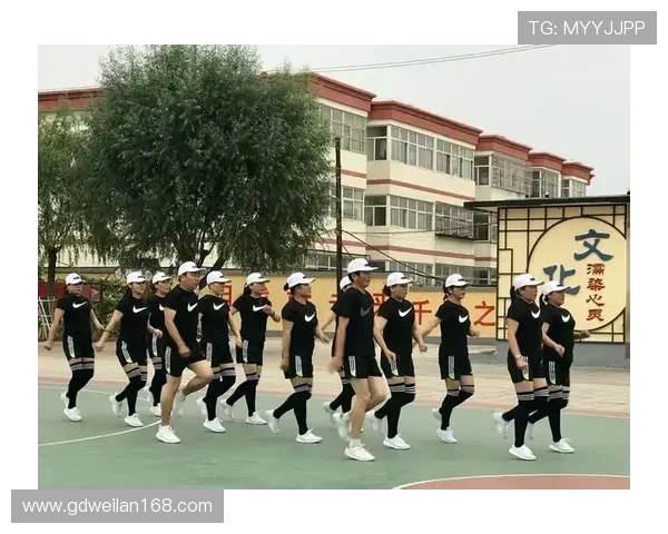 广州排球队技术解析：从基本功到战术运用的全面探讨