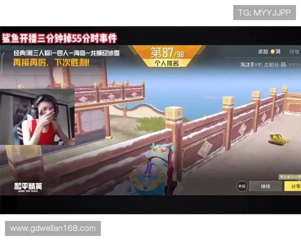 对话吴芳：深入探讨和平精英职业生涯与游戏背后的故事