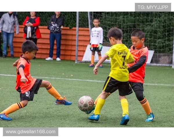 广州足球队逆袭之旅的真实记录与奋斗精神的传承 广州足球队逆袭之旅的真实记录与奋斗精神的传承