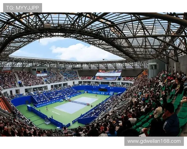 成都乒乓球队整体压制现象解析及其对赛事的影响与启示 成都乒乓球队整体压制现象解析及其对赛事的影响与启示