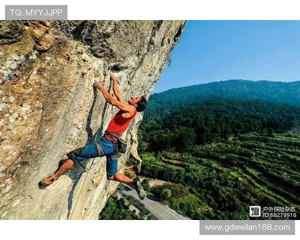 攀岩之路：陈强的挑战与成长深度对话分享